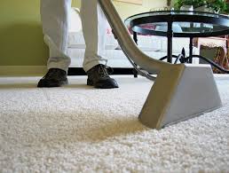 Warren Carpet Cleaning business image in Warren, MI