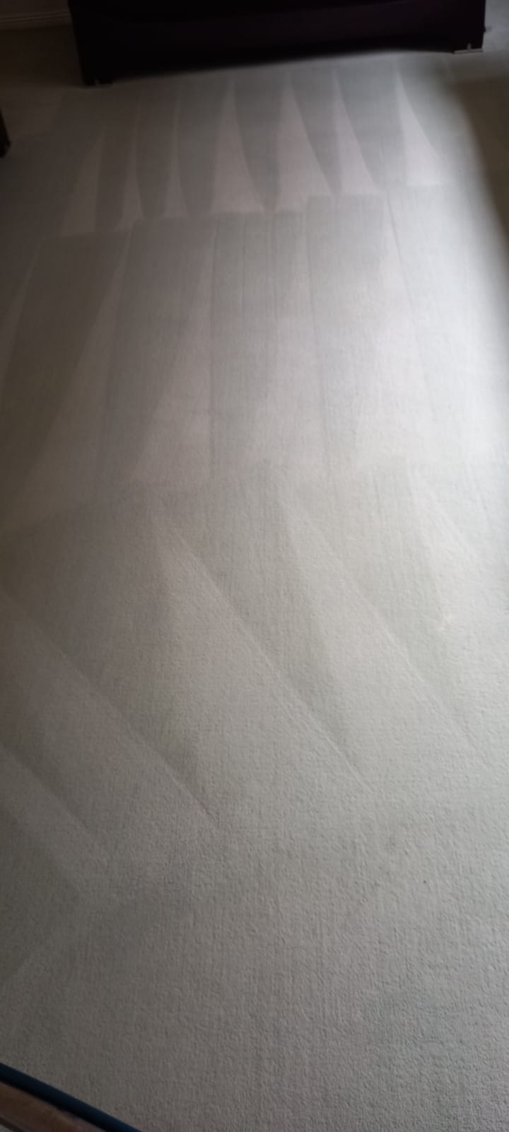 AXZ Cleaning Services business image in Melbourne, Victoria